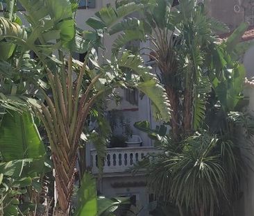 Location Appartement 2 pièces 34m² PERPIGNAN 66000 - Photo 6