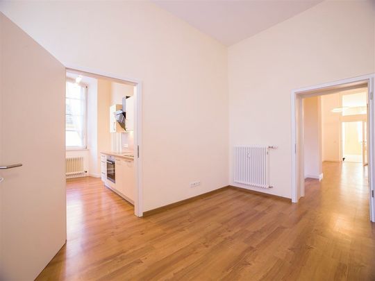 Große, exklusive barrierefreie Schlosswohnung mit modernen Einbauküchen, großem eigenem Garten, mehreren Tageslichtbädern und Park! - Photo 1