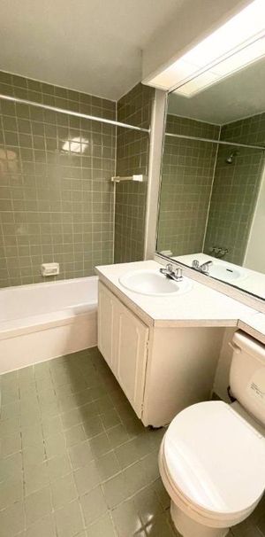 1 CH - 1 SDB - St-Laurent - $1,495 /mo - Photo 1