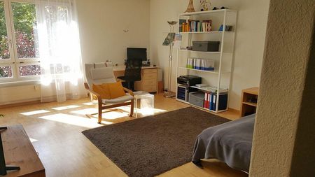 Mitten in der Stadt  mitten im Leben - Foto 2