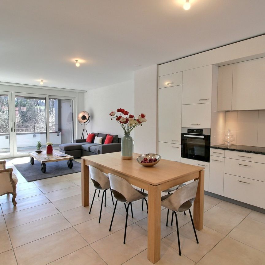Superbe duplex de 3.5 pièces à louer - Photo 1