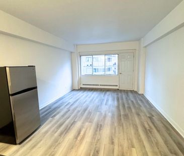 Great Studio – 175 Sherbrooke O - Photo 1