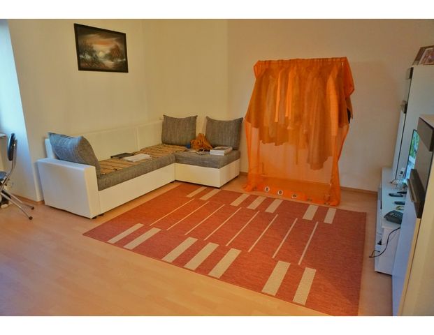 - 1 Raumwohnung in Radebeul - Photo 1