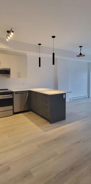 1 CH - 1 SDB - Gatineau - $1,970 /mo - Photo 1