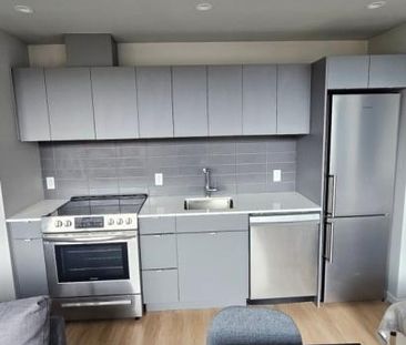 530 Rue St-Hubert, app.204, H2Y 0B9, Montréal - Photo 6