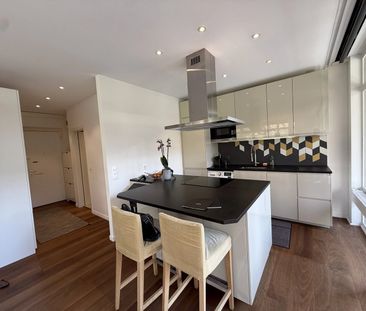 Magnifique appartement lumineux meublé récemment rénové de 58 m2 et... - Foto 3