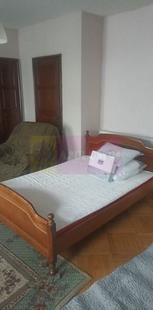 Studio in vila | Mobilat | Kiseleff, Sector 1 - Fotografie 1