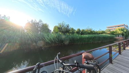 Te huur: Kamer Van der Woudendijk in Den Haag - Photo 5