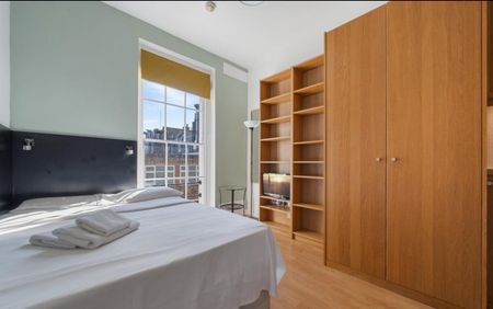 Studio Flat, North Gower Street, NW1 - Photo 5