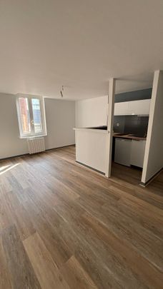 Grand T2 de 42 m² – Rue François Perrin – LIMOGES - Photo 1