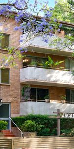 31/33 Stokes Street, Lane Cove NSW 2066 - Apartment For Rent | Domain - Photo 3