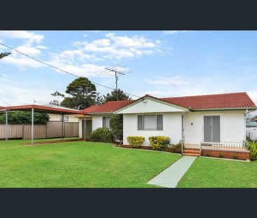 Low maintenance, tidy timber Home in Quiet Street - Photo 4