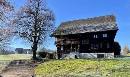 FIRST-USE WITH 5 M ROOM HEIGHT - Photo 4