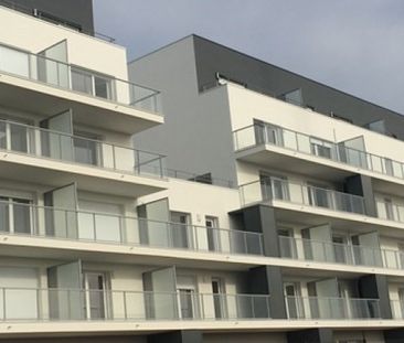 Location appartement de 42 m² - 2 pièces à Vannes - Photo 2