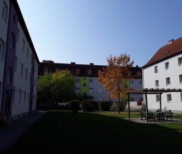 3-Zimmer-Wohnung, Top 87 - Photo 2