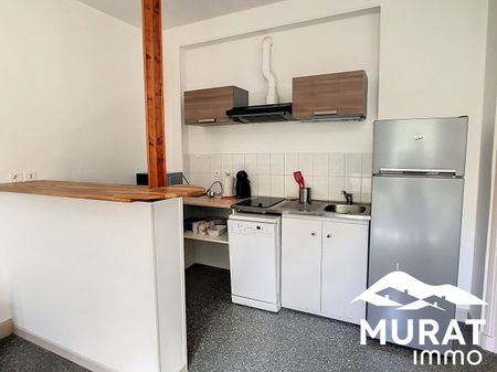 Location Appartement 2 pièces 35m² CHAMALIERES 63400 - Photo 4