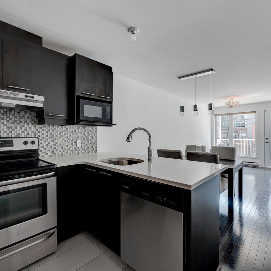 Apartment for rent, Montréal (Mercier/Hochelaga-Maisonneuve) - Photo 1