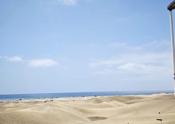 Maspalomas, Canary Islands 35100