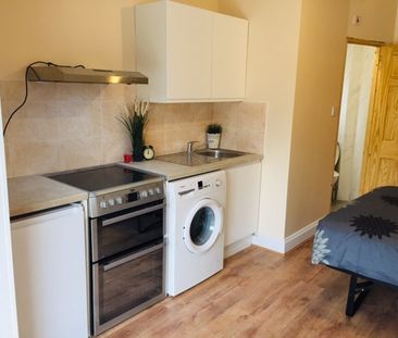 Studio Flat, Grenoble Gardens, N13 - Photo 6