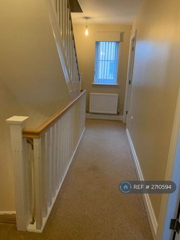 4 bedroom semi-detached house to rent - Photo 3