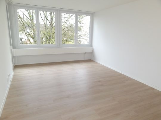 Neu sanierte 2 Zimmerwohnung - Photo 1