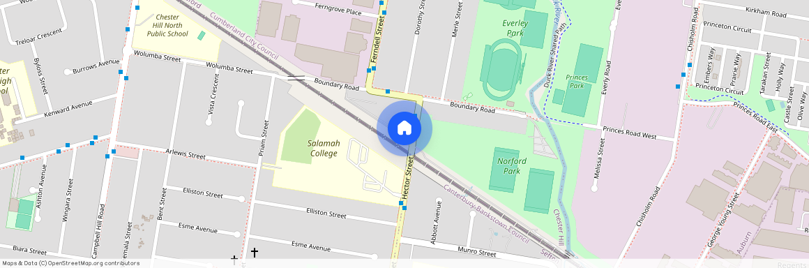 12a Hector Street, NSW 2162, Chester Hill