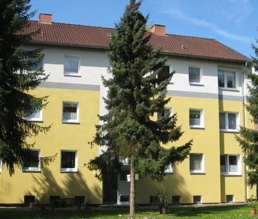 Husemannstr. 43, 45731 Waltrop OT Waltrop - Photo 4