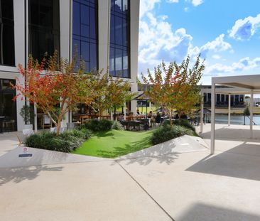 203C/1 The Concourse, Benowa QLD 4217 - Apartment For Rent | Domain - Photo 4