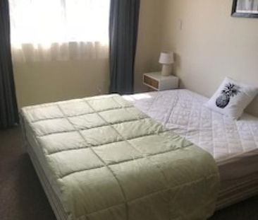 Walking distance to the Nelson CBD. - Photo 2