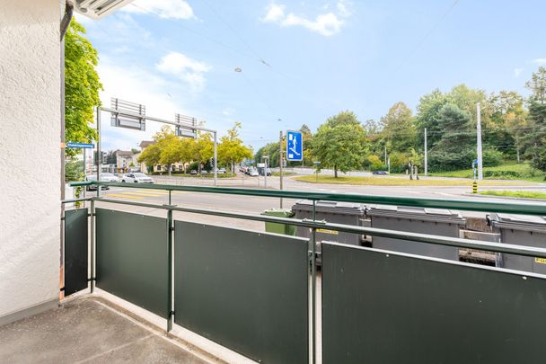 Ideal single apartment – freshly renovated! - Photo 1