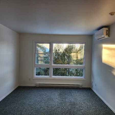 4 1/2 pces rénové, très éclairé, 1295$/mois - Photo 4