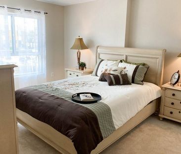 Newport Village - Photo 4