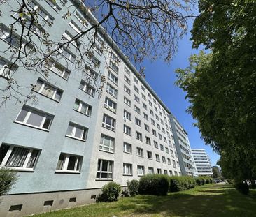 2-Raum-Wohnung im Chemnitzer Zentrum - Photo 1