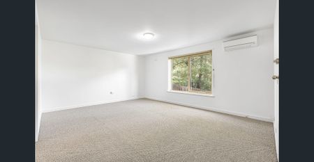 Park-adjacent freshly painted and carpeted apartment - Photo 4