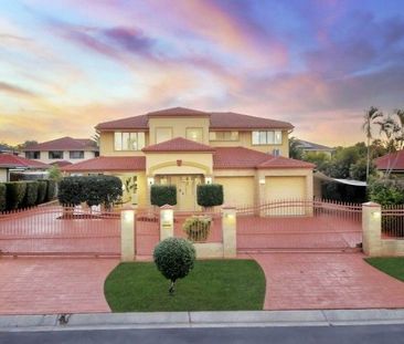 Stunning Family Living in "The Avenue" - Sunnybank Hills Primary Ca... - Photo 2