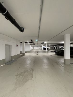 BESICHTIGUNG 19. & 20.02 um 12 Uhr: Mitte: NEUBAU 2-Zi, 48m², W-Bad, bodentiefe Fenster, PER SOFORT - Photo 1