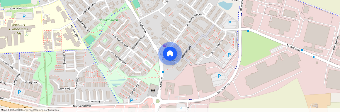 Apisvej 22, 8381 Tilst
