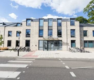 Bronze Shared House - Photo 6