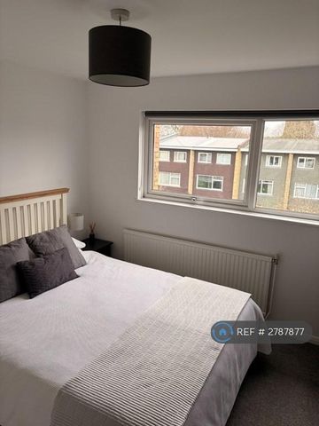 4 bedroom terraced house to rent - Photo 3
