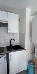 Location Appartement 1 pièce 20m² TOURS 37000 - Photo 3