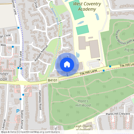 Hornbeam Drive, Coventry