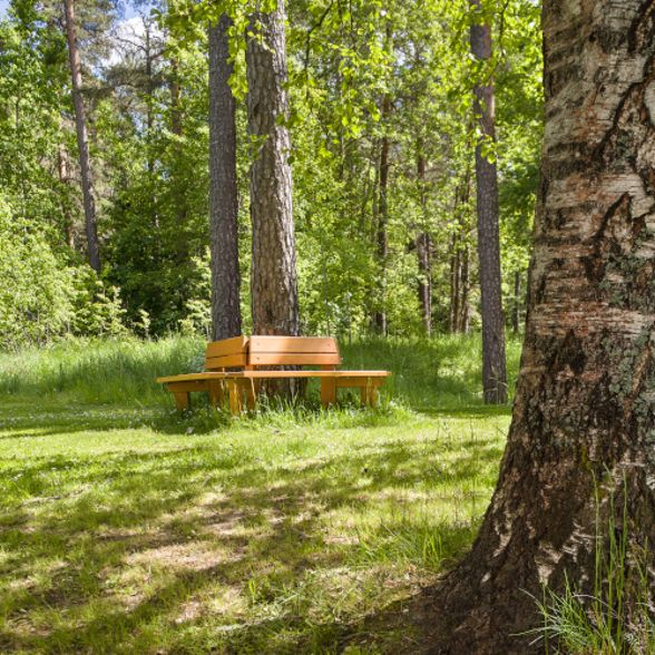 Täljstensvägen 4 B, 75240, Uppsala - Photo 1
