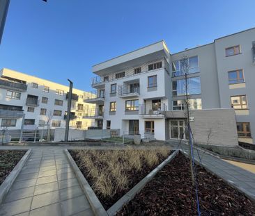 Tenisowa, 2 pokojowe na 1 piętrze z windą - Photo 3