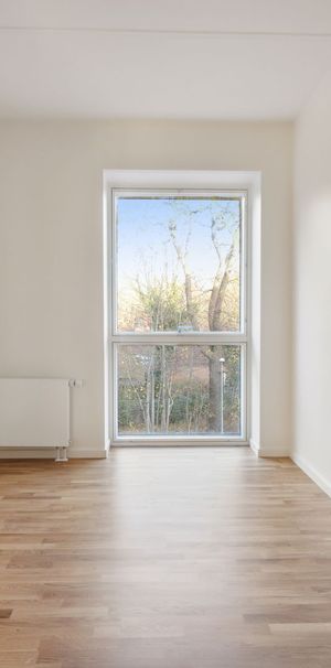 Hollænderen 10, 2. TV - Foto 1