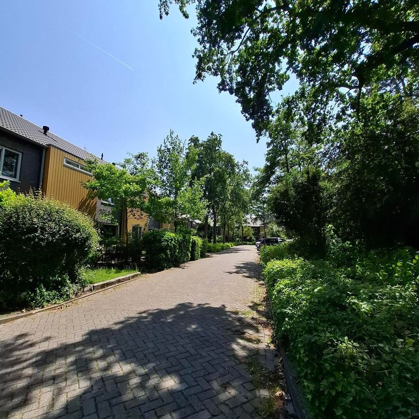 Stierop 8, Saenegheest, 1862JL, Bergen (Nh) - Photo 1