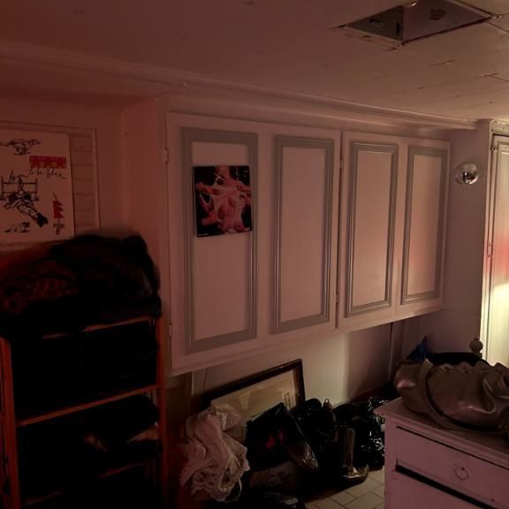 2 1/2 - Montréal (Le Plateau Mont-Royal) - 980 $/mois - Photo 1