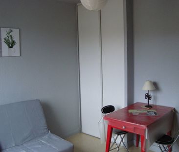 Location Appartement 1 pièce 20m² - Photo 3