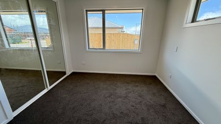 34 Lotus Street, Appleby, Tasman - Photo 3