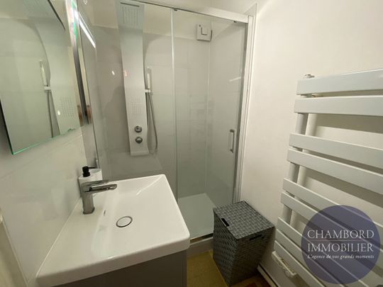 Appartement lumineux BLOIS - Centre ville - Photo 1