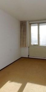 Noordwal, 2513 Den Haag, Nederland - Photo 4
